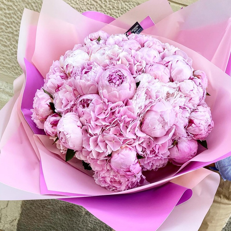 Pink Hydrangeas and Pink Peonies – Orquidea Flor